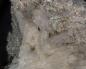 Preview: Stokesite